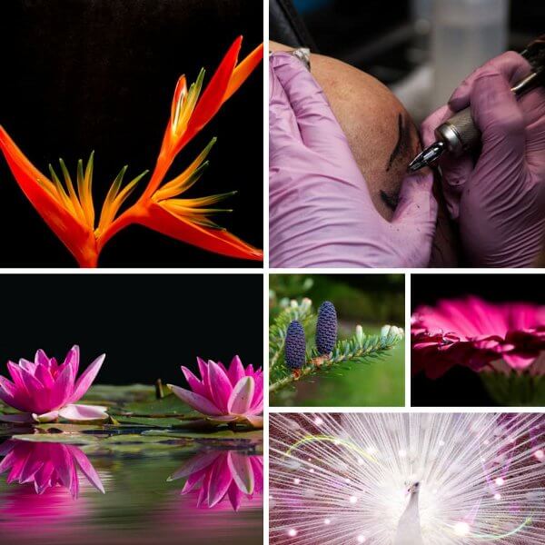 mondo tattoo, tatuaggi, trucco semipermanente